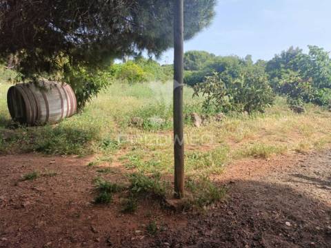 Quintinha típica alentejana com privacidade  – santiago do cacém