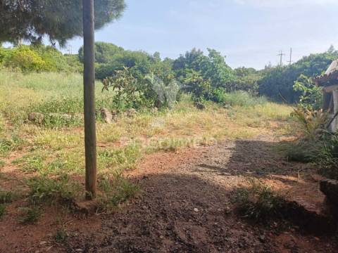 Quintinha típica alentejana com privacidade  – santiago do cacém