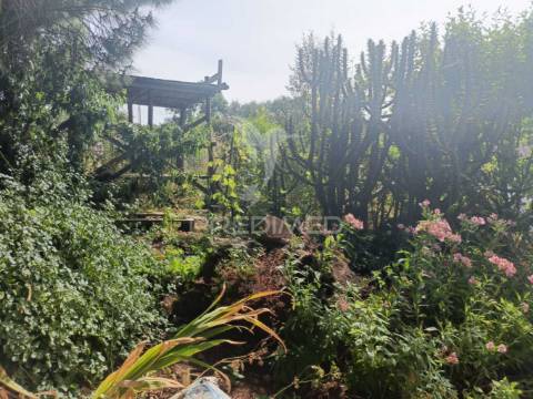 Quintinha típica alentejana com privacidade  – santiago do cacém