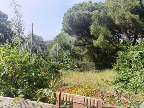 Quintinha típica alentejana com privacidade  – santiago do cacém