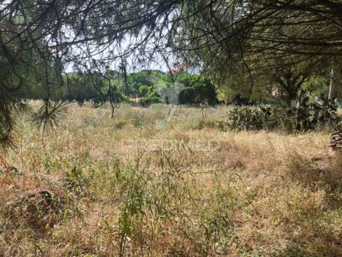 Quintinha típica alentejana com privacidade  – santiago do cacém