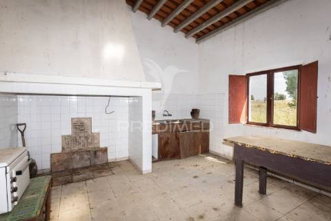 Excelente propriedade c/ casa de habitação