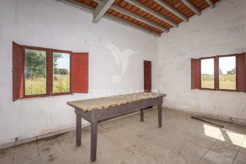 Excelente propriedade c/ casa de habitação