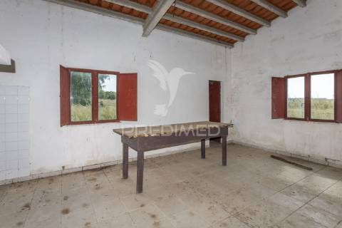 Excelente propriedade c/ casa de habitação