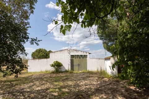 Excelente propriedade c/ casa de habitação