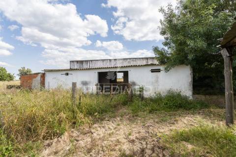 Excelente propriedade c/ casa de habitação