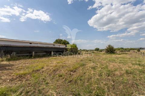 Excelente propriedade c/ casa de habitação