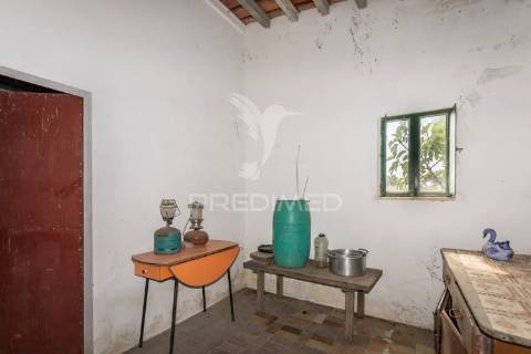 Excelente propriedade c/ casa de habitação