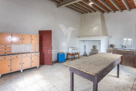 Excelente propriedade c/ casa de habitação