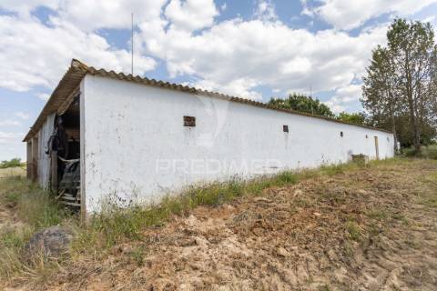 Excelente propriedade c/ casa de habitação
