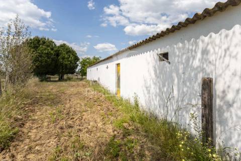 Excelente propriedade c/ casa de habitação