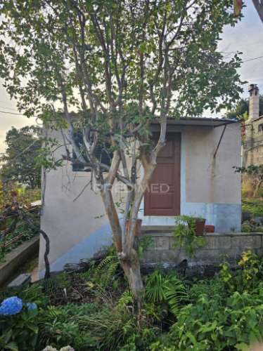 Moradia típica madeirense com terreno de 3140 m²