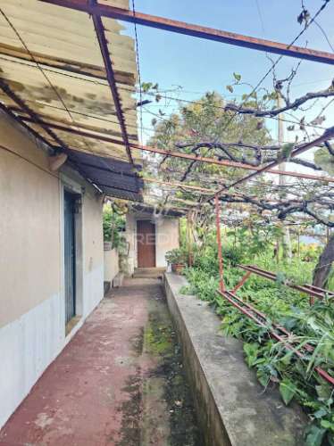 Moradia típica madeirense com terreno de 3140 m²