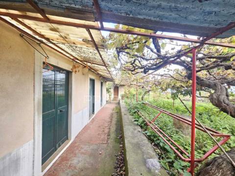 Moradia típica madeirense com terreno de 3140 m²