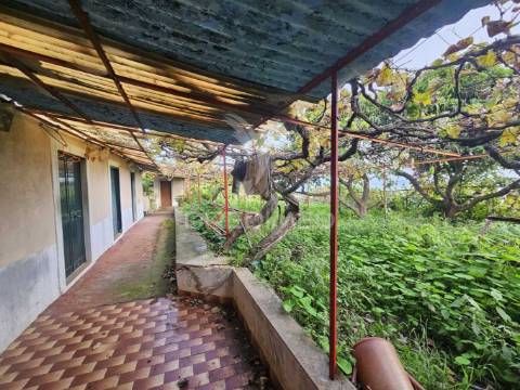 Moradia típica madeirense com terreno de 3140 m²