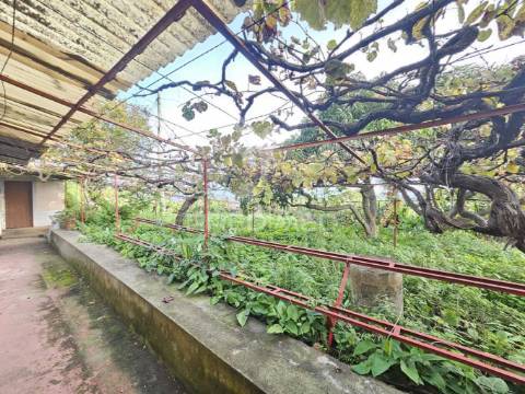 Moradia típica madeirense com terreno de 3140 m²