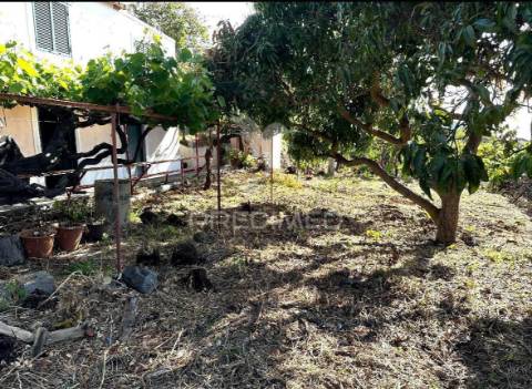 Moradia típica madeirense com terreno de 3140 m²