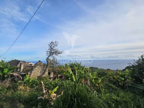 Moradia típica madeirense com terreno de 3140 m²