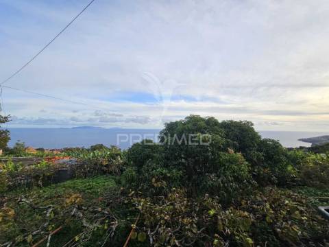 Moradia típica madeirense com terreno de 3140 m²