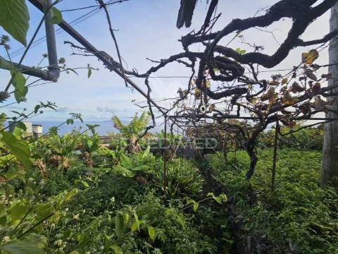 Moradia típica madeirense com terreno de 3140 m²