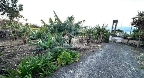 Moradia típica madeirense com terreno de 3140 m²