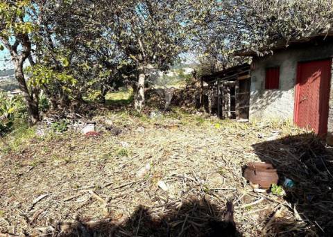 Moradia típica madeirense com terreno de 3140 m²