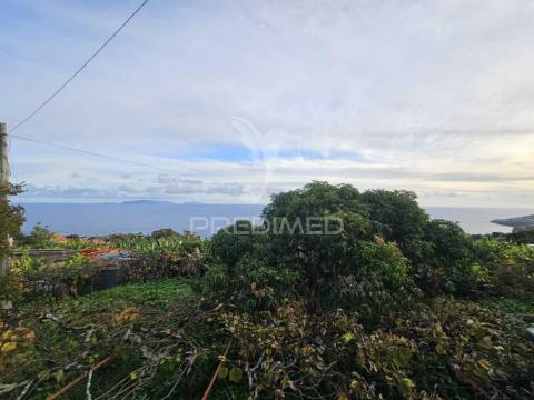 Moradia típica madeirense com terreno de 3140 m²