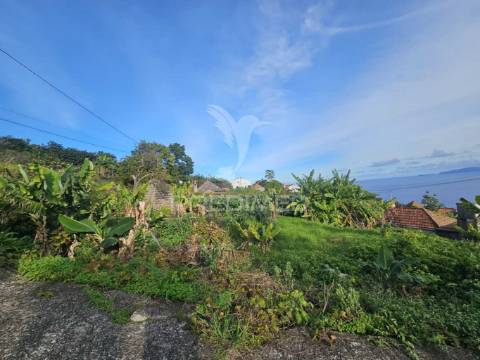 Moradia típica madeirense com terreno de 3140 m²