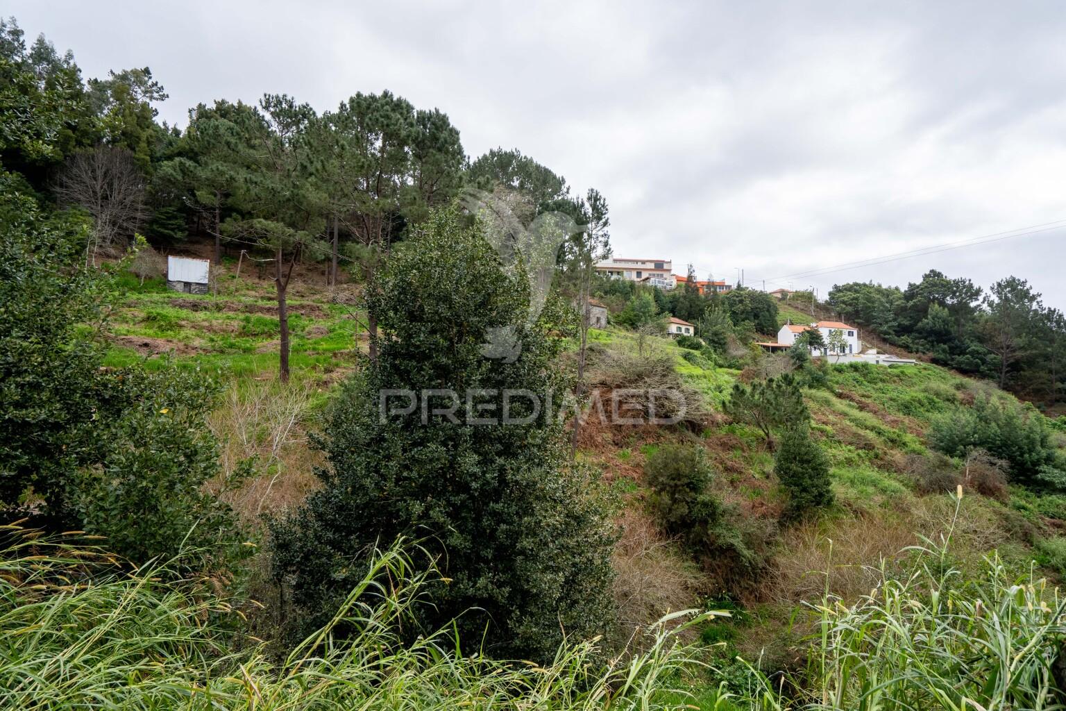 Terreno na encantadora freguesia do santo da serra ilha da madeira