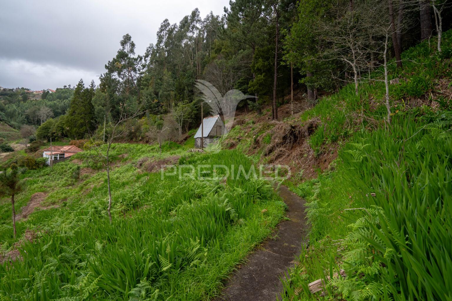 Terreno na encantadora freguesia do santo da serra ilha da madeira