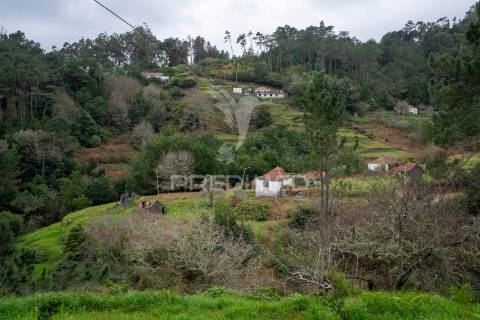 Terreno na encantadora freguesia do santo da serra ilha da madeira