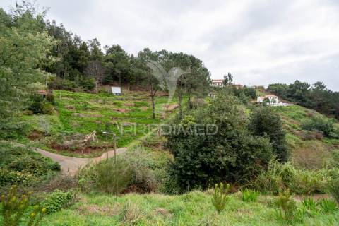 Terreno na encantadora freguesia do santo da serra ilha da madeira