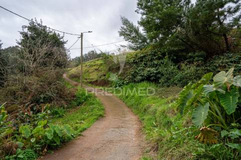 Terreno na encantadora freguesia do santo da serra ilha da madeira