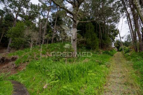 Terreno na encantadora freguesia do santo da serra ilha da madeira