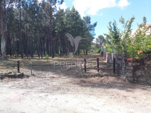 Terreno situado no monte da nossa senhora do castelo, mangualde