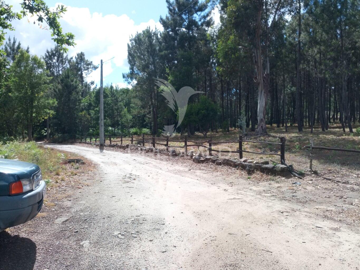 Terreno situado no monte da nossa senhora do castelo, mangualde