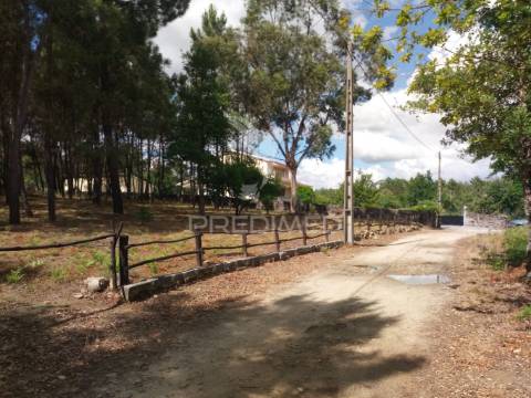 Terreno situado no monte da nossa senhora do castelo, mangualde