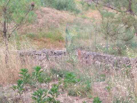 Terreno situado no monte da nossa senhora do castelo, mangualde