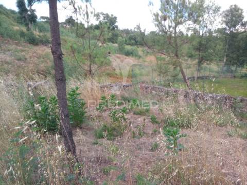 Terreno situado no monte da nossa senhora do castelo, mangualde