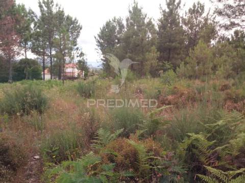 Terreno situado no monte da nossa senhora do castelo, mangualde