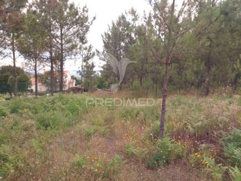 Terreno situado no monte da nossa senhora do castelo, mangualde