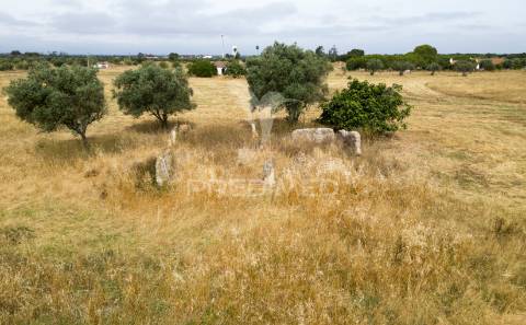 Quinta com 2,8250 ha e ruínas com 46 m2 em fornalhas velhas