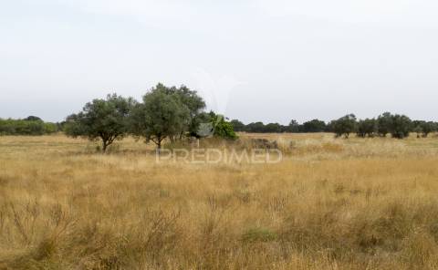 Quinta com 2,8250 ha e ruínas com 46 m2 em fornalhas velhas