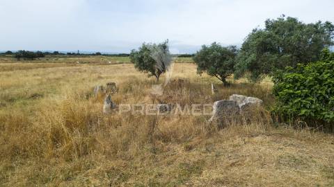 Quinta com 2,8250 ha e ruínas com 46 m2 em fornalhas velhas