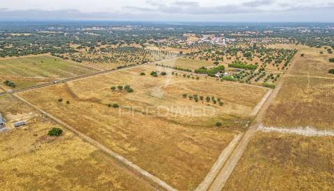 Quinta com 2,8250 ha e ruínas com 46 m2 em fornalhas velhas
