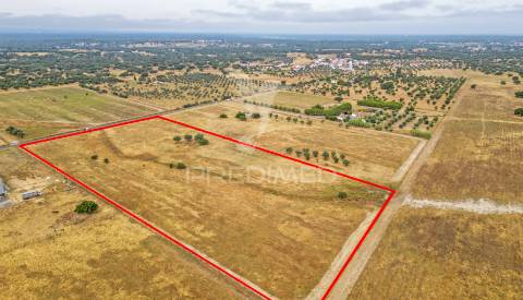 Quinta com 2,8250 ha e ruínas com 46 m2 em fornalhas velhas