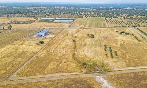 Quinta com 2,8250 ha e ruínas com 46 m2 em fornalhas velhas