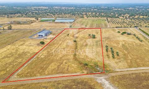 Quinta com 2,8250 ha e ruínas com 46 m2 em fornalhas velhas