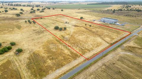 Quinta com 2,8250 ha e ruínas com 46 m2 em fornalhas velhas