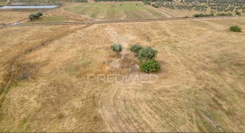 Quinta com 2,8250 ha e ruínas com 46 m2 em fornalhas velhas